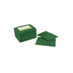 ESTROPAJO VERDE CORTADO (1und.)